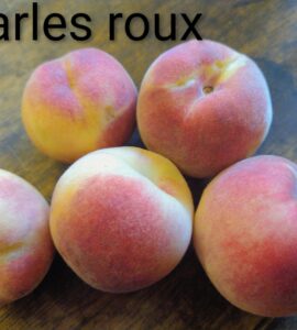 Pêcher Charles Roux