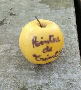 Pommier Pointue de Tréscléoux