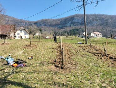 Conseils de plantation et d’entretien