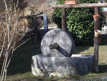 Variétés à jus et à cidre