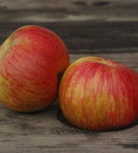 Pommier Du Léon