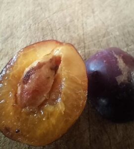 Pruneau des Cassis